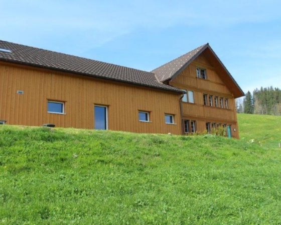 Neubau